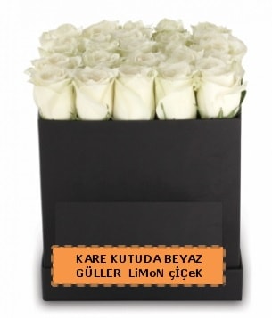 Kare kutuda 17 adet beyaz gül tanzimi  İstanbul Çiçek Satışı çiçek siparişi sitesi 