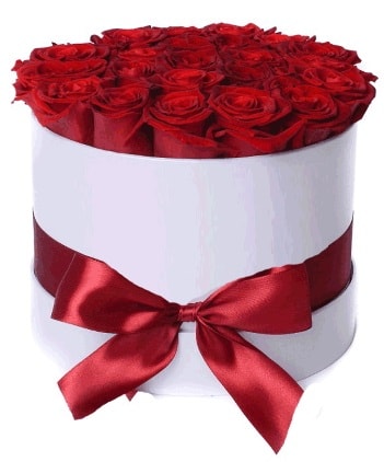 29 adet kırmızı gülden kutu çiçeği  İstanbul Çiçek Satışı güvenli kaliteli hızlı çiçek 