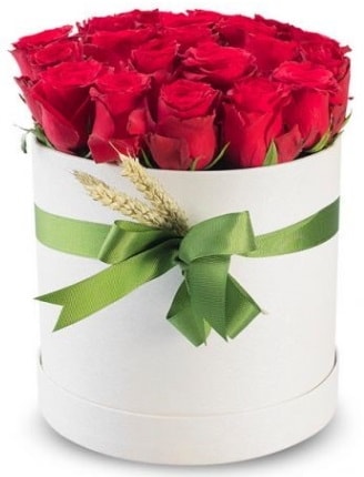 Özel kutuda 25 adet kırmızı gül çiçeği  İstanbul Çiçek Satışı çiçek satışı 