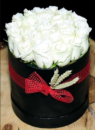Özel kutuda 27 adet beyaz gül  İstanbul Çiçek Satışı cicekciler , cicek siparisi 